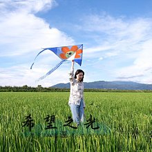 【花太太】兒童玩具車收納架 汽車模型收納架 24格(送3M無痕膠) 歷史價格詳細信息