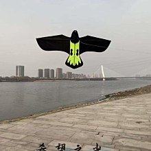 特技風箏華箏新款4米立體轉尾風箏飄尾螺旋尾送連接器送無損連接桿動態4m 歷史價格詳細信息