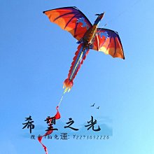 特技風箏年新款龍形風箏大人專用高檔兒童微風易飛創意國潮大風箏 歷史價格詳細信息