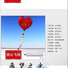特技風箏沙燕風箏兒童專用高端新款國潮微風易飛網紅大小型高檔線輪盤 歷史價格詳細信息