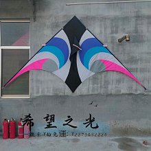 特技風箏競技類特技風箏天眼三角風箏成人玩具玻璃鋼桿耐磨定做 歷史價格詳細信息