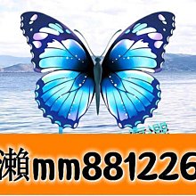 濰坊風箏2021新款傳統蝴蝶風箏竹條骨架3D立體蝴蝶可放飛可觀賞 歷史價格詳細信息