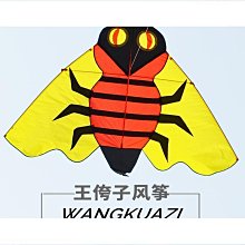 【好康】大黃蜂男童運動鞋2023春秋新款童鞋旋轉扣籃球鞋中大童男孩跑步 歷史價格詳細信息