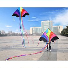 濰坊風箏2021新款傳統蝴蝶風箏竹條骨架3D立體蝴蝶可放飛可觀賞 歷史價格詳細信息