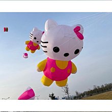 【好康】單飛燕踢毽子專用鞋男女款毽球鞋情侶小白鞋休閒板鞋高彈運動潮鞋 歷史價格詳細信息