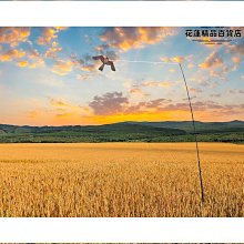 地面魚群戲水互動投影機戶外地面互動投影地面牆面景區夜 歷史價格詳細信息