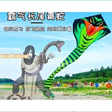 特技風箏風箏青蛇長蛇風箏長尾易飛新款大型壯觀成人初學者風箏保飛大風爭 歷史價格詳細信息