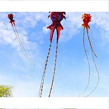 濰坊軟體金魚風箏新款式3d立體長尾好飛大人專用高檔大型風箏好康】免運 歷史價格詳細信息