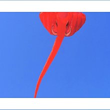 【締造】【】風箏專用包風箏包風箏線輪包多隻大c型風箏輪包風箏揹包收納袋軟 歷史價格詳細信息
