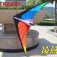 雙線特技風箏新款202動力彩虹傘滑翔簡單易飛初學者大人軟體運動優 歷史價格詳細信息