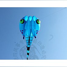特技風箏風箏青蛇長蛇風箏長尾易飛新款大型壯觀成人初學者風箏保飛大風爭 歷史價格詳細信息