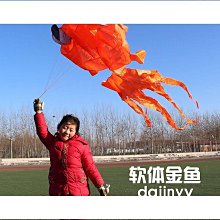 濰坊軟體金魚風箏新款式3d立體長尾好飛大人專用高檔大型風箏好康】免運 歷史價格詳細信息