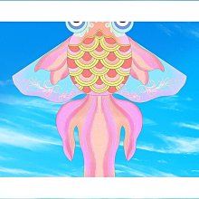 【好康】夢者魚護黑坑球拍線手工編織雙線加厚網兜防掛速乾方形2019新款網 歷史價格詳細信息