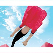 【好康】特軟高溫矽膠線4/6/8/10/12/14/16/18/20/22/24/26/28/30#AWG號 歷史價格詳細信息