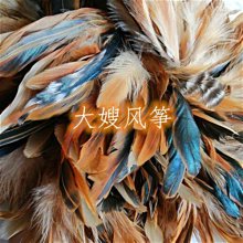 風箏專用包風箏包風箏線輪包多隻大c型風箏輪包風箏揹包收納袋軟好康】免運 歷史價格詳細信息