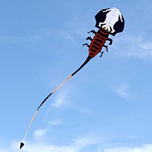 特技風箏新款樹脂桿抗大風3米板鷹風箏成人大型專用工廠直供老鷹 歷史價格詳細信息