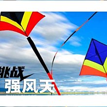 2023新款沖天捲翹睫毛夾可攜式局部假睫毛輔助器美妝睫毛夾子 歷史價格詳細信息