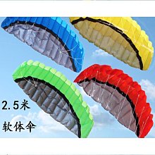 濰坊風箏 2.22.4米複線雙線特技 運動風箏 到手可飛 stunt kite締造伊人 歷史價格詳細信息