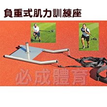 【綠色大地】軟式網球 充氣球針 專用打氣針 一般 傳統網球針 網球充氣針 補氣針 網球針 打氣針 充氣針 網球 軟網 歷史價格詳細信息