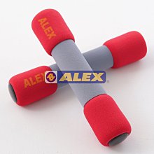 ALEX C-4904 抽取式 調整式 沙包型 加重器 綁腿 綁手 肌力訓練 負重 4公斤重 台灣製造 歷史價格詳細信息