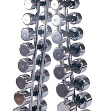 電鍍啞鈴10公斤(菱格紋槓心)(1支)(10kg/重量訓練/肌肉/二頭肌/胸肌/舉重) 歷史價格詳細信息