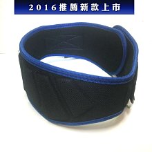 【Fitek 健身網】兩用腰帶(舉重腰帶+負重腰帶) ☆加寬加厚護腰墊☆二合一單槓訓練腰帶+重訓腰帶☆健身腰帶☆深蹲護腰 歷史價格詳細信息