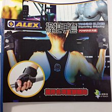 ALEX 運動地墊10mm(圓角) (瑜珈墊 塑身 止滑墊 附收納袋【99301345】≡排汗專家≡ 歷史價格詳細信息