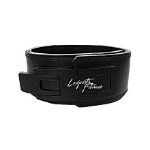 LEXPORTS專業級重磅健身高拉力帶/重訓助握帶/助力帶 歷史價格詳細信息