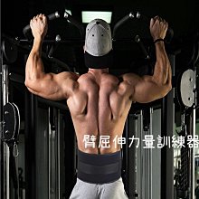 鐵鍊負重腰帶(引體向上/吊掛槓片/加重/單槓/鐵鏈護腰墊) 歷史價格詳細信息