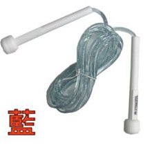 成功SUCCESS 彩色防滑健腹雙輪(海綿握把)S5203 歷史價格詳細信息