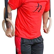 吊環健身成人家用體操引體向上脊椎牽引康復訓練室內健身器材拉伸 歷史價格詳細信息