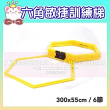 六角敏捷梯(蜂巢敏捷訓練梯/硬式繩梯/六邊跳格梯/格步梯/跨欄欄架) 歷史價格詳細信息