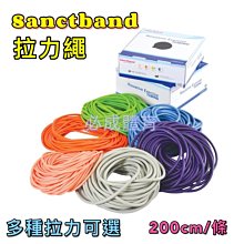 【Sanctband】拉力帶-綠(1.5米-中型) 歷史價格詳細信息