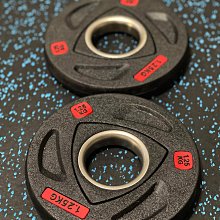 1.25KG槓片(黑烤漆) 歷史價格詳細信息