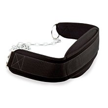 鐵鍊負重腰帶(引體向上/吊掛槓片/加重/單槓/鐵鏈護腰墊) 價格比較,價格查詢,歷史價格詳細信息