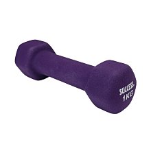 成功牌1X1.5磁白板(小)(30x45cm/可吸磁鐵/辦公事務文具/會議室/SUCCESS) 歷史價格詳細信息