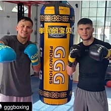 現貨 拳擊沙袋散打沙包 吊式泰拳跆拳道 成人兒童武術練習拳擊健身包郵正品促銷 歷史價格詳細信息