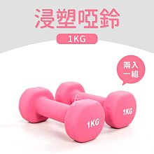 浸塑荷蘭網 綠色養殖PVC荷蘭網 果園圍欄硬塑鐵孔網 公路鐵絲圍網 歷史價格詳細信息