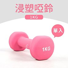 浸塑荷蘭網 綠色養殖PVC荷蘭網 果園圍欄硬塑鐵孔網 公路鐵絲圍網 歷史價格詳細信息