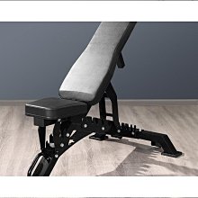 健身凳啞鈴凳家用健身專業臥推可調多功能飛鳥訓練椅仰臥起坐健身器材 歷史價格詳細信息
