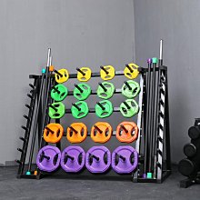 槓鈴片啞鈴架子  健身健身器材存放架 家用槓鈴桿收納架 歷史價格詳細信息