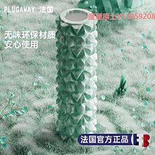 泡沫軸泡沫軸滾軸狼牙棒按摩肌肉放松腿部滾輪瑜伽輔助工具用品小腿大腿 歷史價格詳細信息
