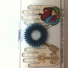 ｛德夏藝文｝大陸原版高品質古琴－－附布製後揹袋及後揹皮箱 及清潔棒, 調音器, 琴穗, CD一片 歷史價格詳細信息