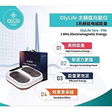 扶陽顯義錄 王獻民 張宇軒 2019-9 中國科學技術出版社 歷史價格詳細信息