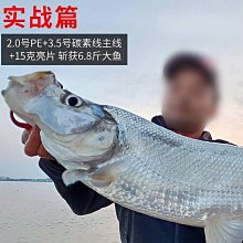 魚線魚線主線碳線正品進口子線尼龍線路亞前導線超強拉力超柔軟釣魚線 歷史價格詳細信息