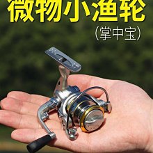 【締造】【】捲線器小高爾夫全金屬斜口淺線杯遠投微物專業輪防海水魚線輪海竿 歷史價格詳細信息