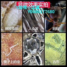 手機放大鏡顯微鏡100倍看鐘表指針鑑定專用高清高倍夾在手機上的z 歷史價格詳細信息