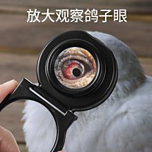 40倍 高清高倍放大鏡 帶刻度光學金屬玻璃鏡片 LED圓筒放大鏡 台式便攜光寫鏡片 歷史價格詳細信息