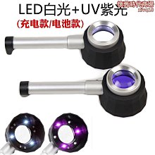 LED帶燈款指甲剪 寵物指甲剪【慢慢寵】 歷史價格詳細信息