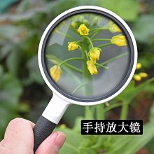 玻璃評鑑杯組 全祥茶莊 歷史價格詳細信息